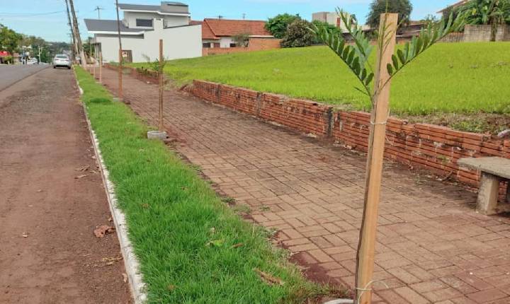 Galeria de Imagem