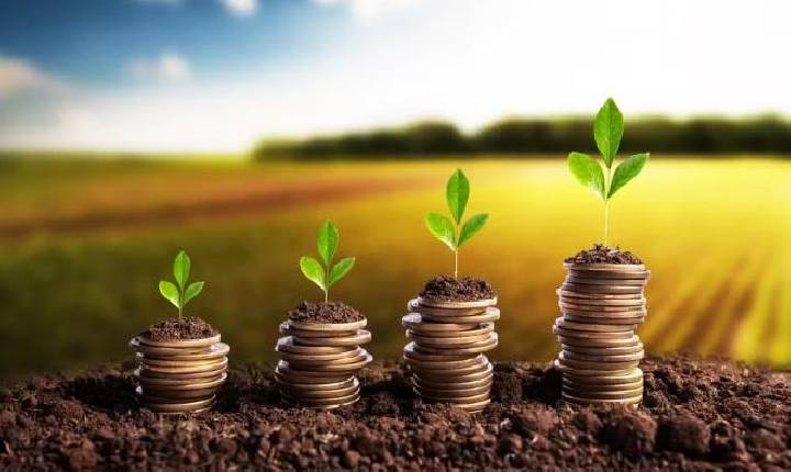 Arrendatários e grandes produtores puxaram inadimplência no campo em 2025, segundo a Serasa