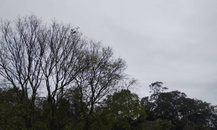 Domingo com chuva e previsão de queda de temperaturas para a próxma semana em Santa Helena