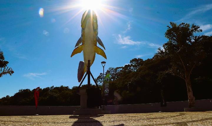 Galeria de Imagem