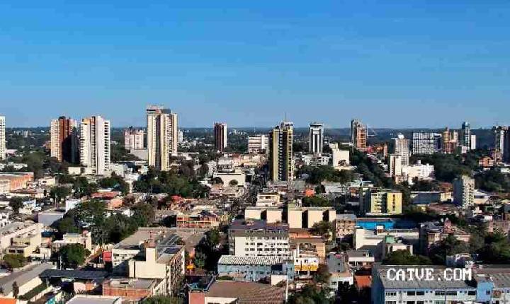 Foz do Iguaçu registra 207 casos de esporotricose em animais e 25 em humanos em 2026