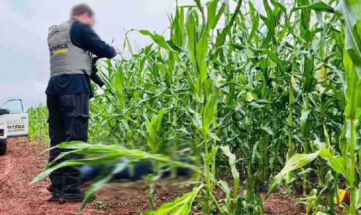Homem é executado a tiros em milharal de Santa Terezinha de Itaipu