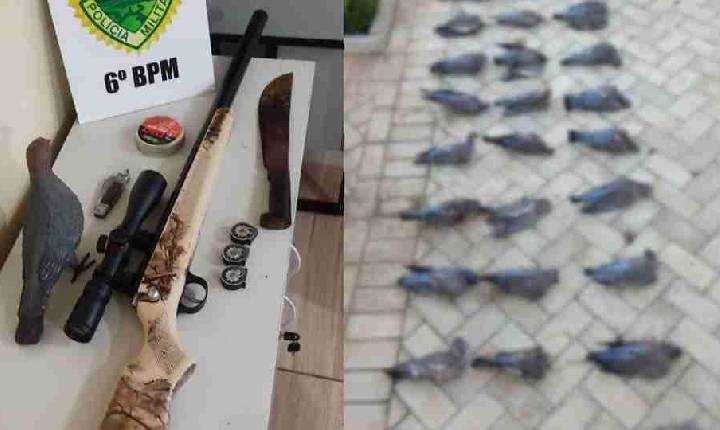 Polícia Militar flagra caça ilegal e apreende 30 pombas abatidas em Guaraniaçu