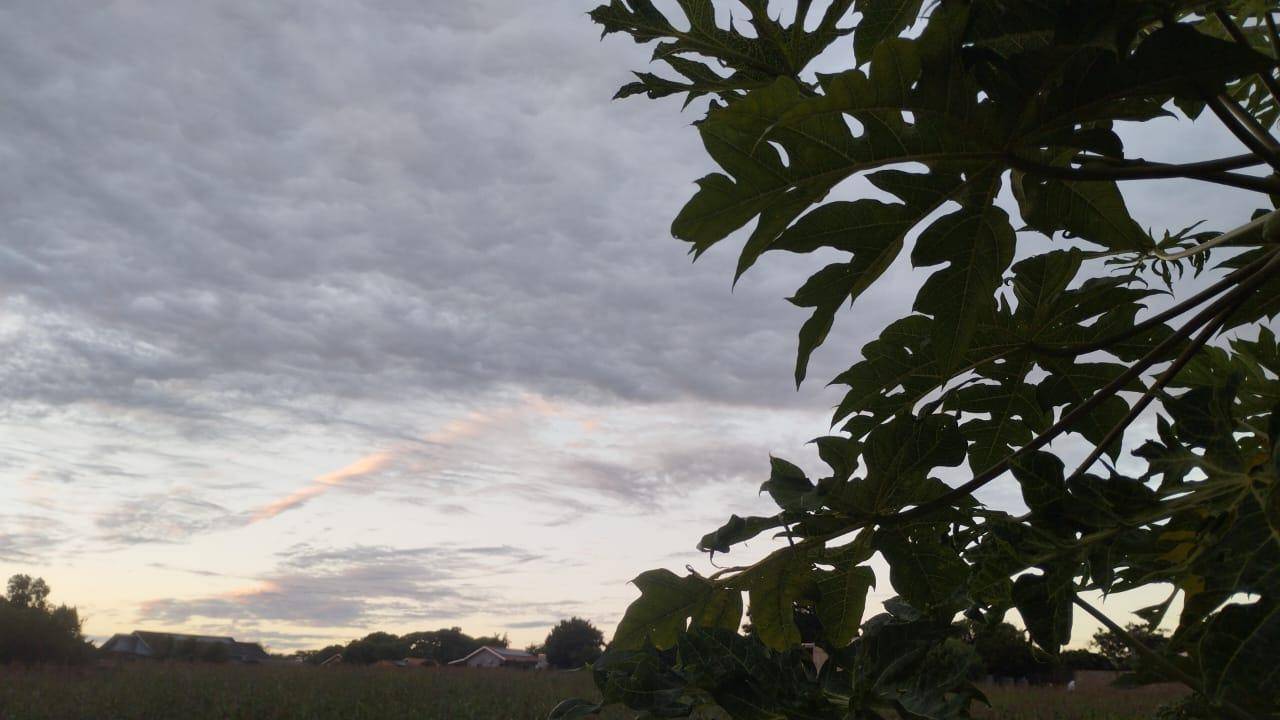 PREVISÃO DO TEMPO; Santa Helena registra menor temperatura do ano nesta terça-feira (28)