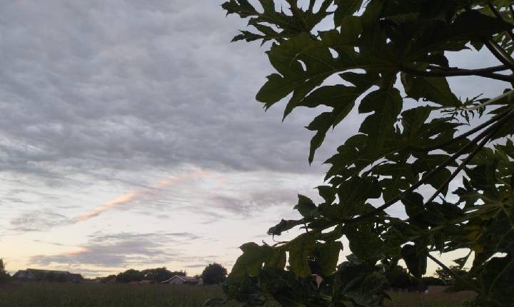 PREVISÃO DO TEMPO: Temperaturas sobem e chuva volta a cair em Santa Helena