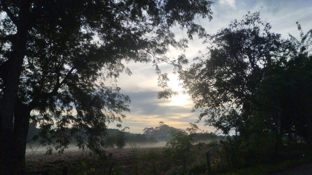 Quarta-feira inicia com serração e mínima de 20°C em Santa Helena