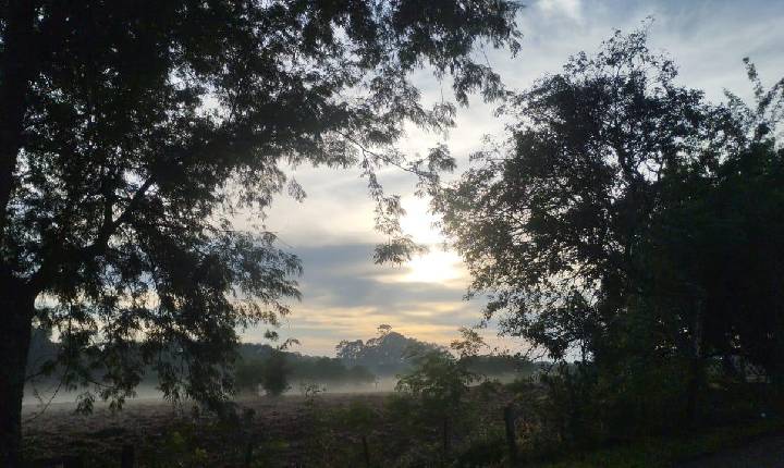 Quarta-feira inicia com serração e mínima de 20°C em Santa Helena