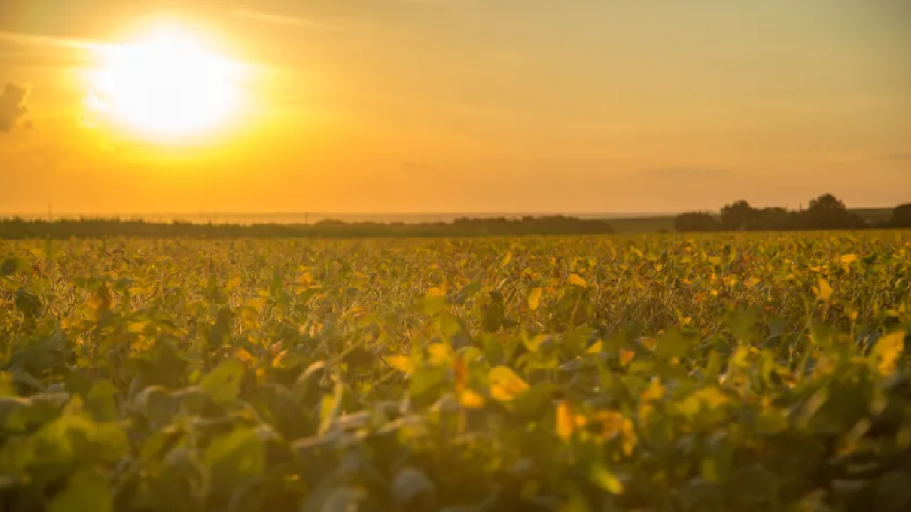 Semana começa com temperatura acima da média no centro-sul