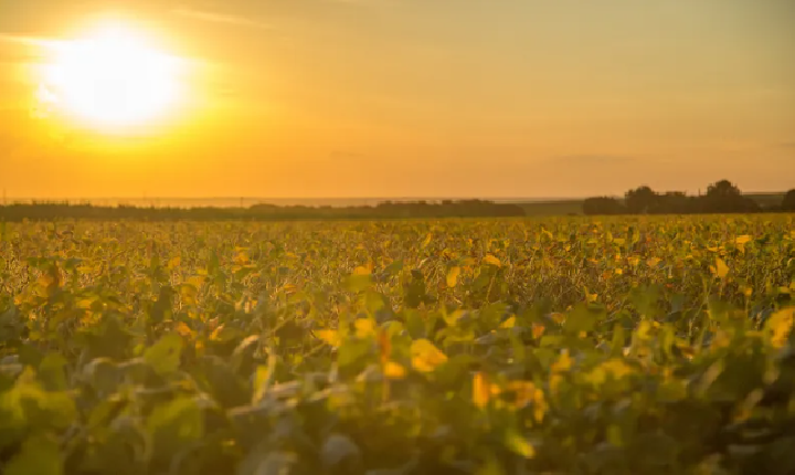Semana começa com temperatura acima da média no centro-sul
