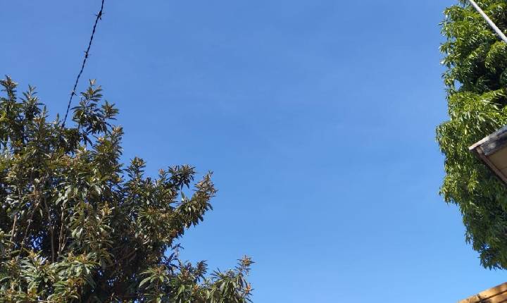 Terça-feira de sol e máxima de 28°C em Santa Helena