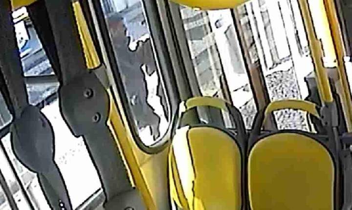 Vídeo mostra discussão e momento em que homem é esfaqueado até a morte