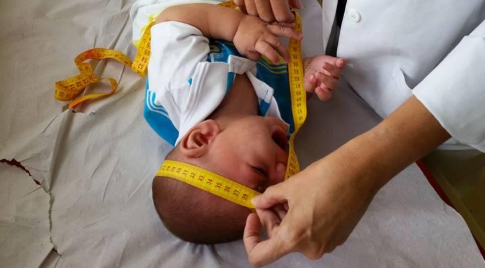 Ciência tem de avaliar impactos do Zika, advertem pesquisadores