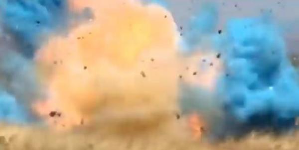 Pai monta chá para revelar sexo de bebê e bota fogo em floresta. Veja o vídeo da festa