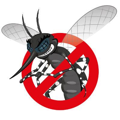 Paraná tem o terceiro maior avanço de casos de dengue do País em 2019