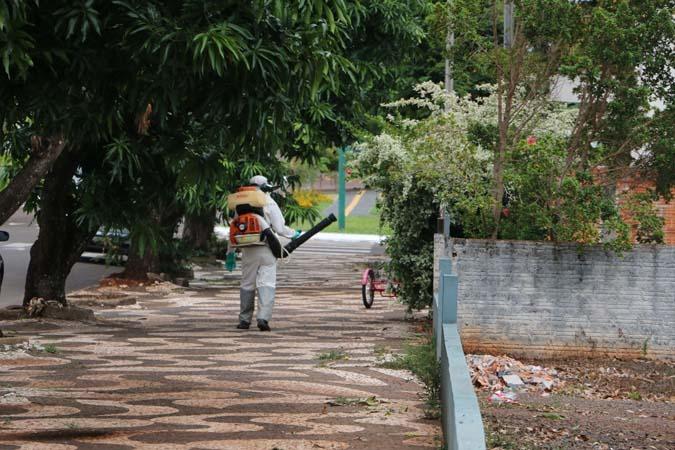 Novo LIRAa aponta redução no índice de infestação por Aedes aegypti em Santa Helena