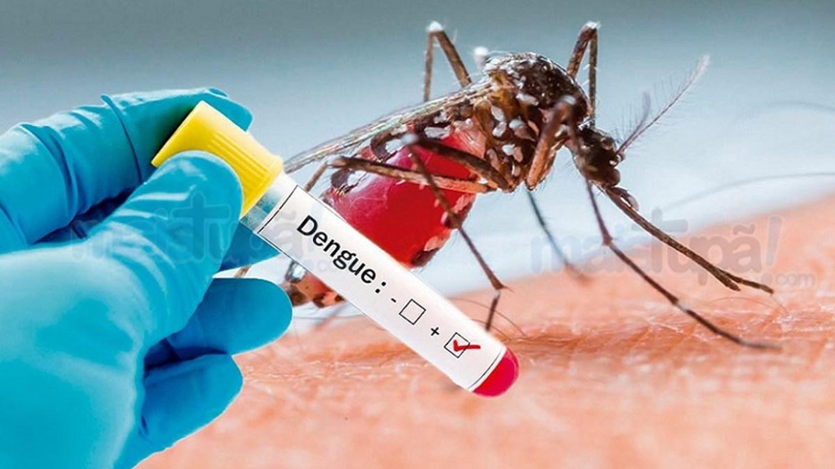 Regional de Toledo soma 788 casos de dengue confirmados; em Rondon são 33