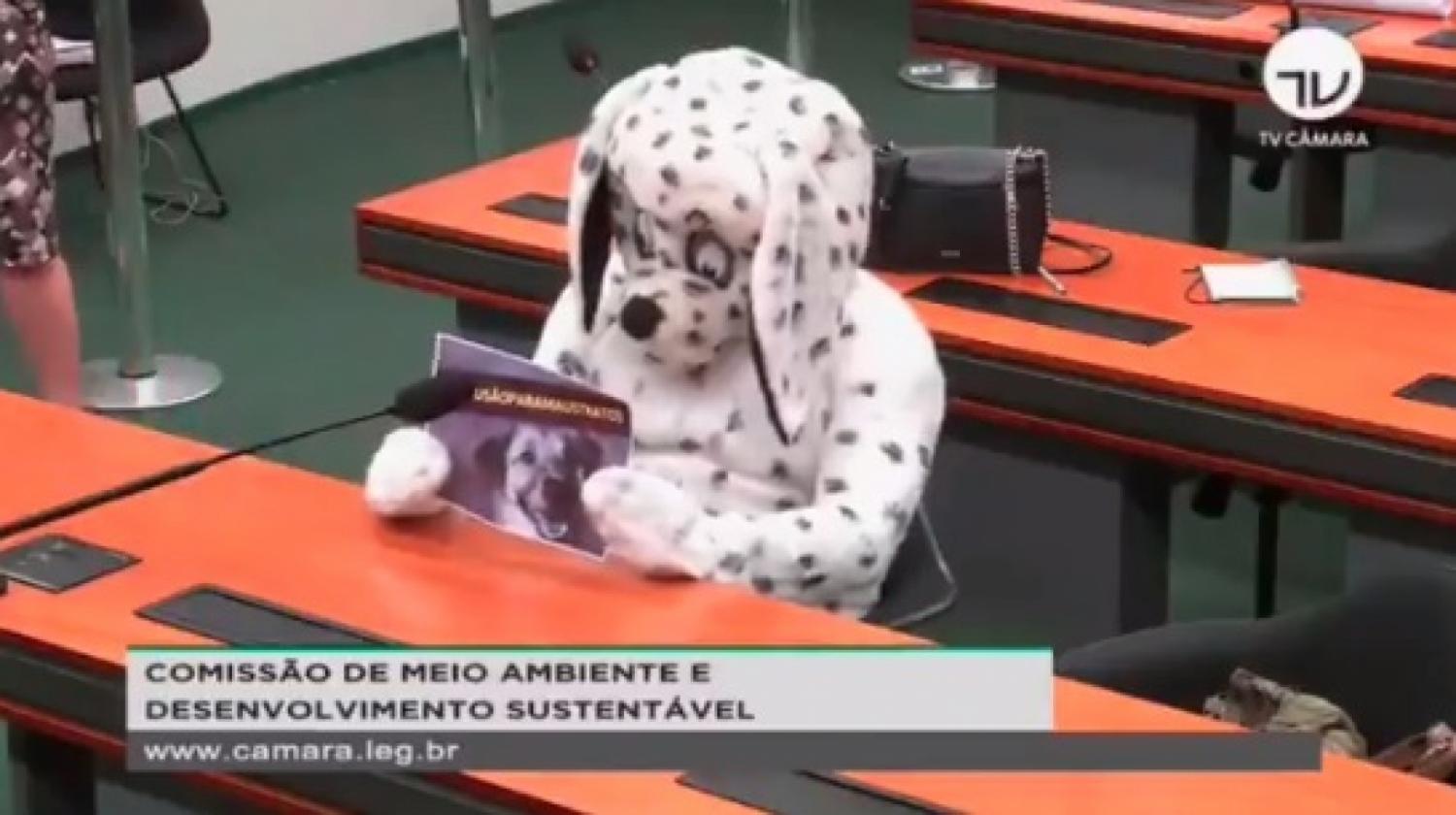 Homem vestido de cachorro rouba a cena em sessão da Câmara