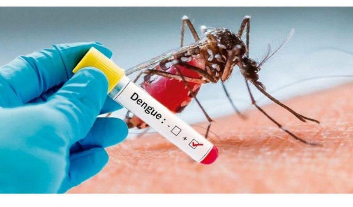 Cascavel registra primeira suspeita de morte por dengue
