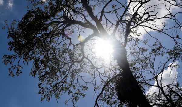 Dia das Mães na região será de céu limpo e sol forte