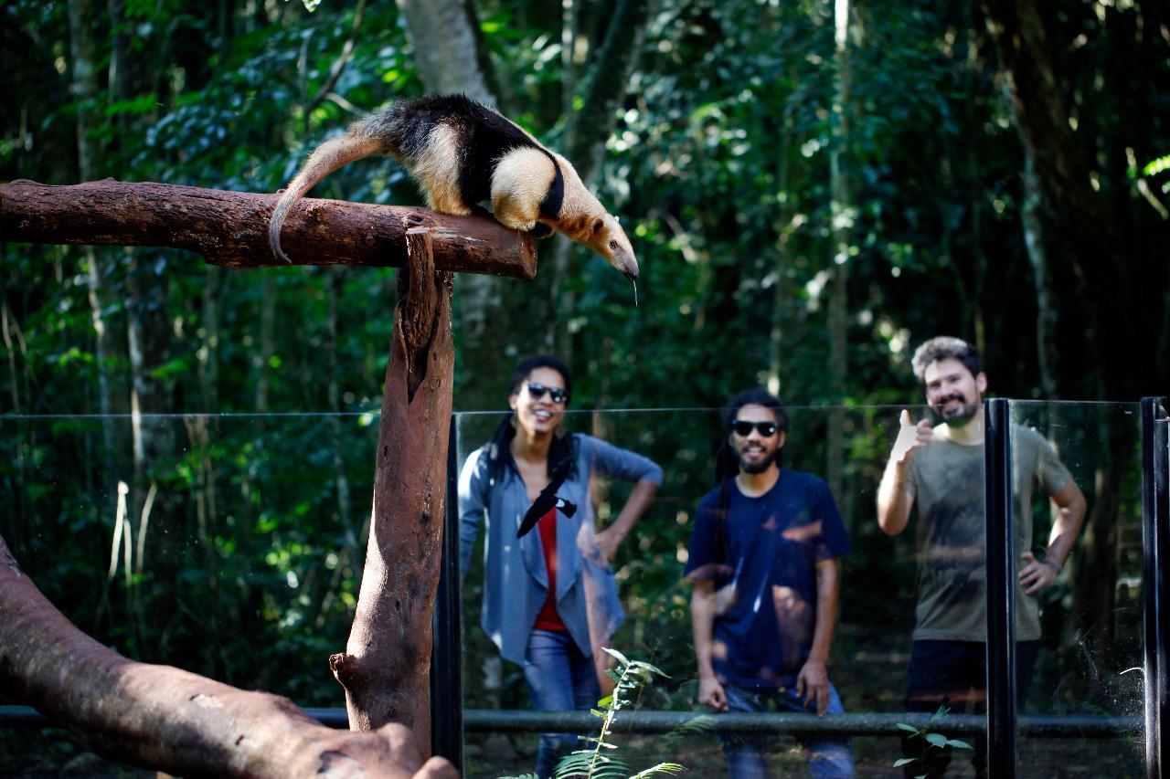 Refúgio Biológico de Itaipu retoma a visitação turística nesta quarta-feira (17). Veja como vai ser