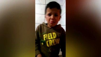Cão da família some e vídeo de criança chorando viraliza: 'Você pode voltar?'