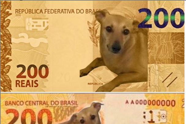 Deputado lança abaixo-assinado para vira-lata caramelo estampar nota de R$ 200