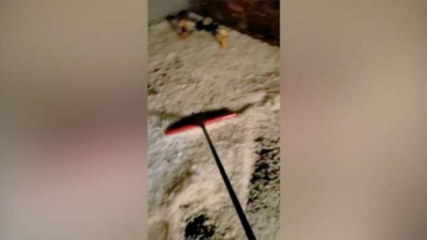 Internauta mostra quintal coberto de granizo, em Santa Tereza do Oeste