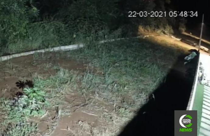 Câmera flagra furto de tábuas durante a madrugada em Santa Helena