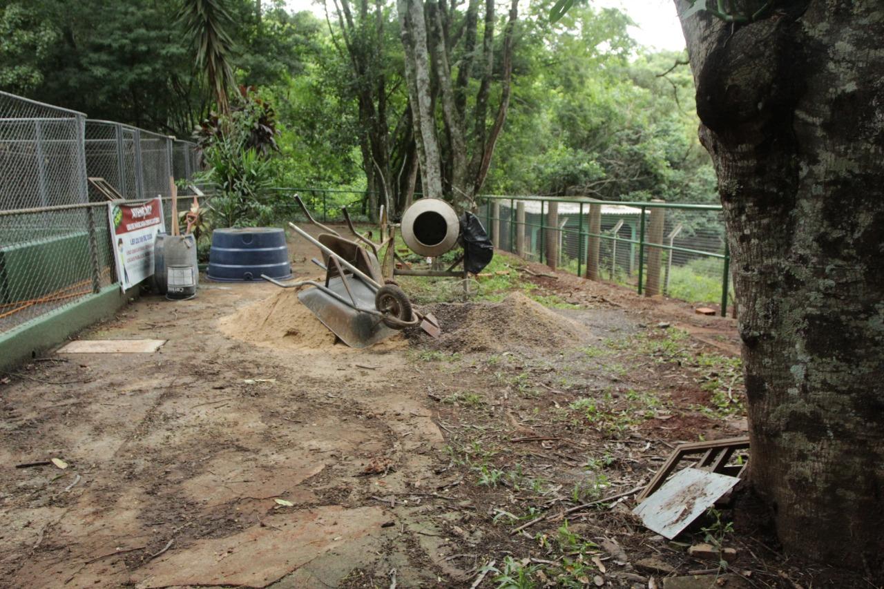 Zoológico de Cascavel está temporariamente fechado para manutenção em recintos