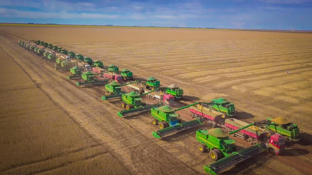 Quem é o ‘Rei dos hectares’ no Brasil? Conheça os três maiores produtores agrícolas