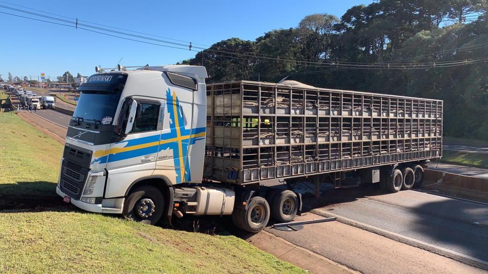 Caminhão carregado com suínos colide com guard-rail da BR-277, após descer desgovernado de uma oficina