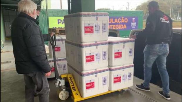 Ministério da Saúde entrega 233 mil vacinas contra a Covid-19 ao Paraná