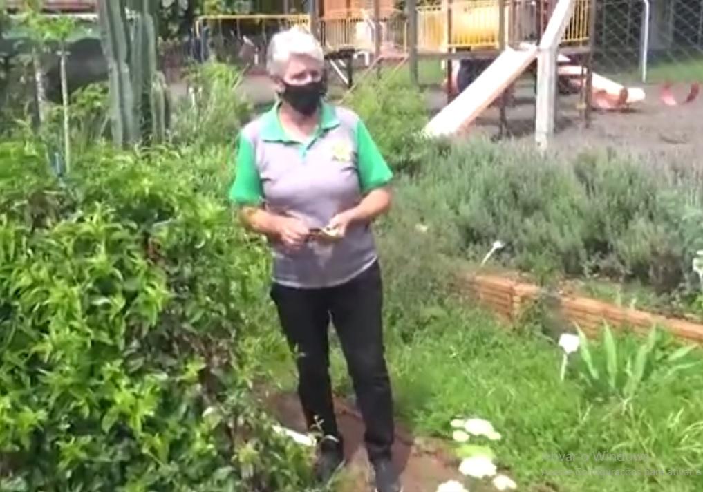 Farmácia Verde entrega chás medicinais, de graça, em Pato Bragado