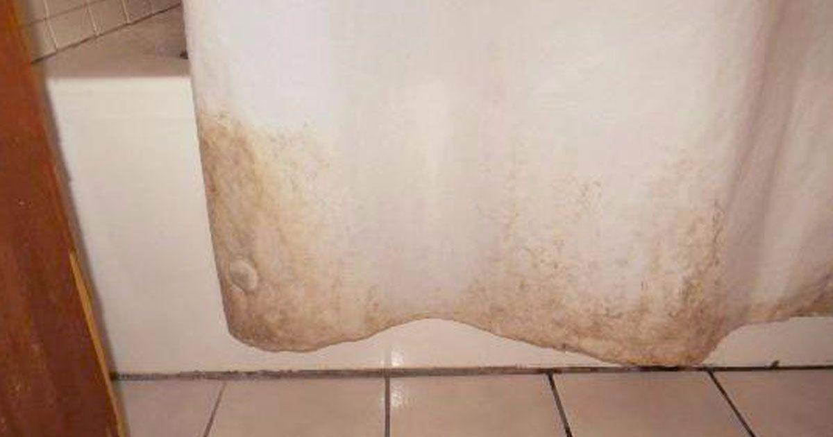 Confira quinze usos surpreendentes do sal de cozinha