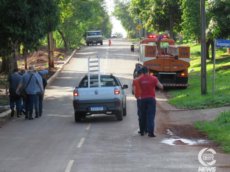 ALERTA! Autoridades temem epidemia de dengue em Santa Helena