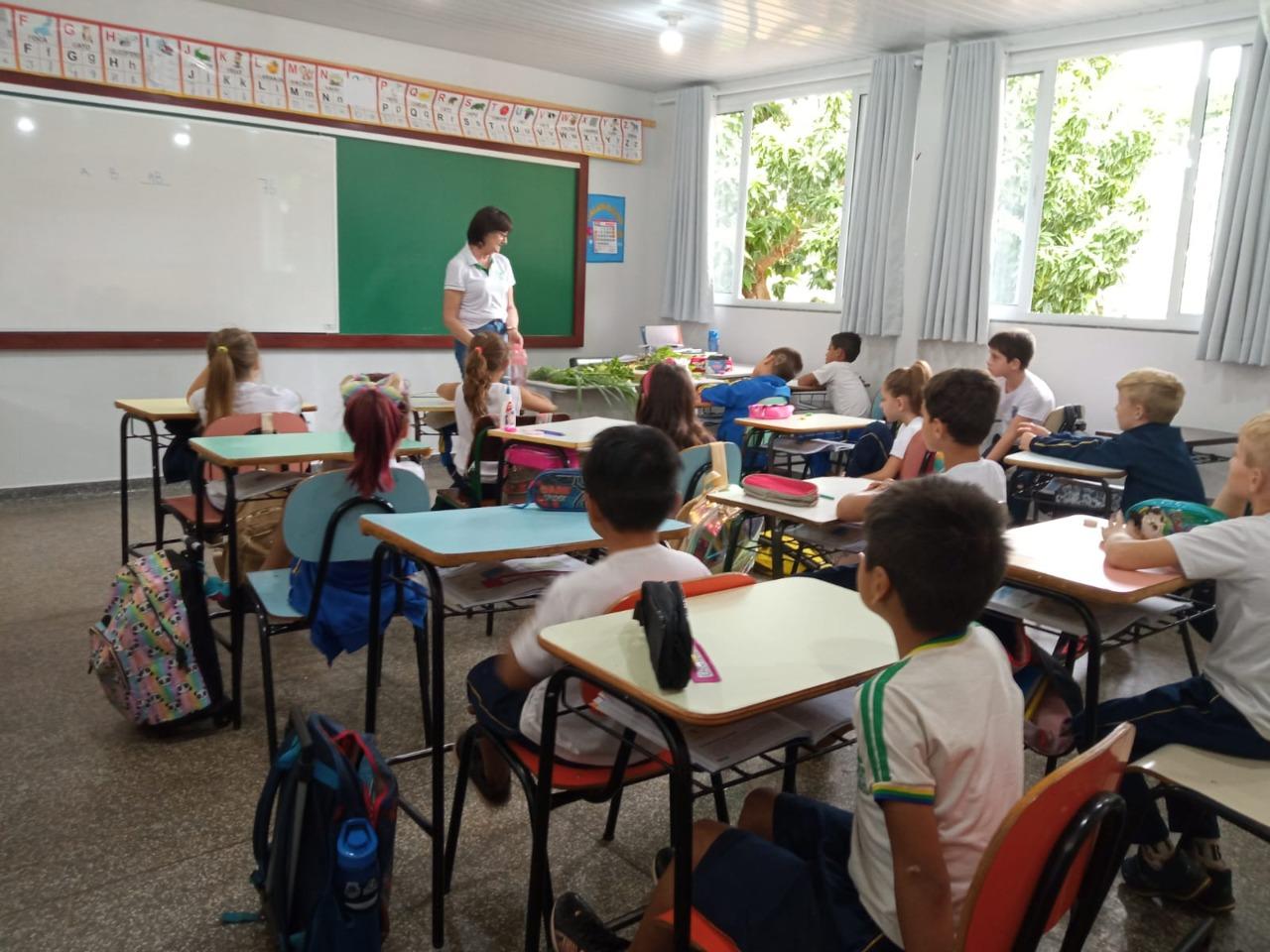 Alunos de distrito de Santa Helena participam de aula sobre cultivo e uso de plantas medicinais