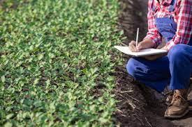 Plano Nacional de Fertilizantes prevê redução drástica de importações