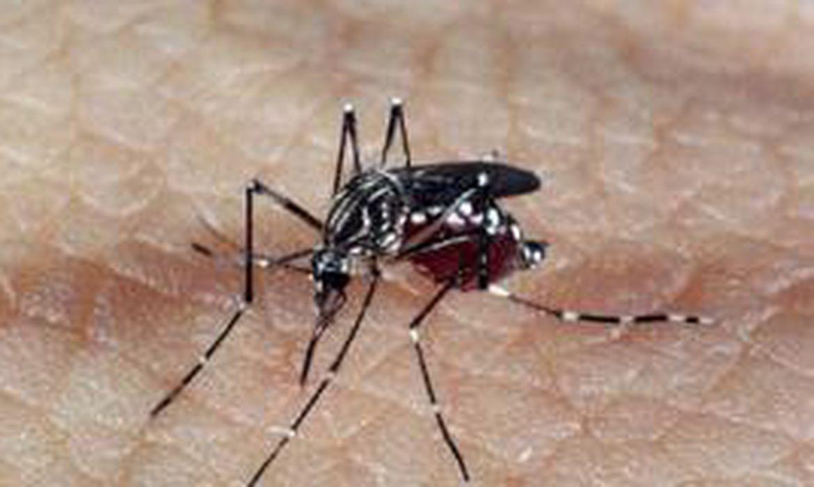 Marechal Cândido Rondon registra primeiro óbito por dengue