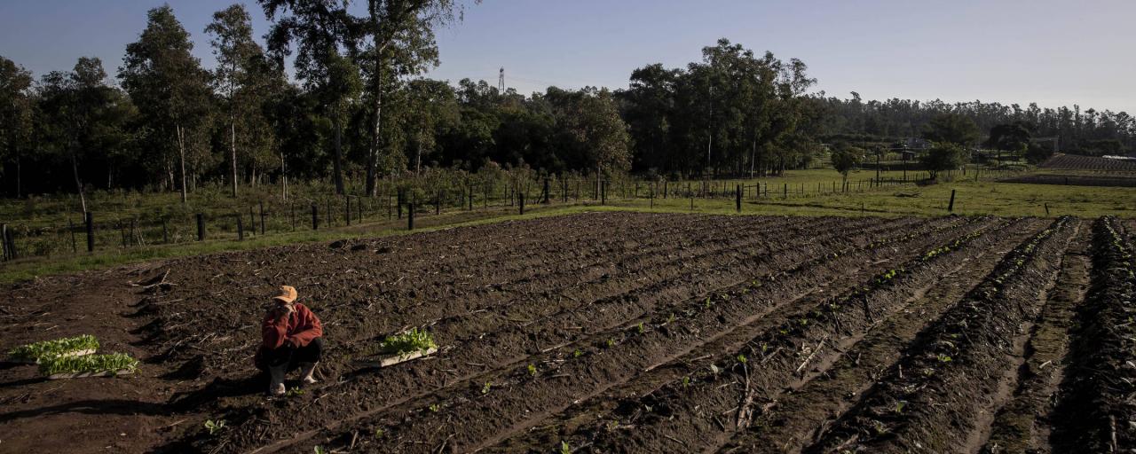 Brasil vive '2ª pandemia' na saúde mental, com multidão de deprimidos e ansiosos