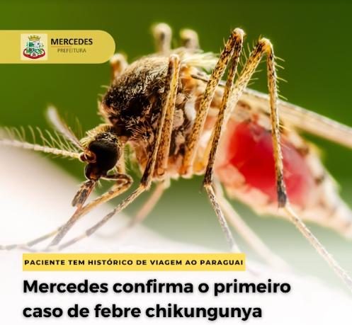 Mercedes confirma primeiro caso de febre chikungunya