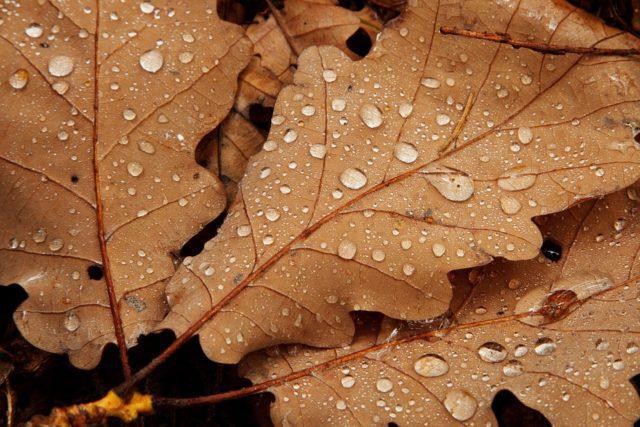 Outono começa com chuva volumosa e frente fria; confira a previsão do tempo