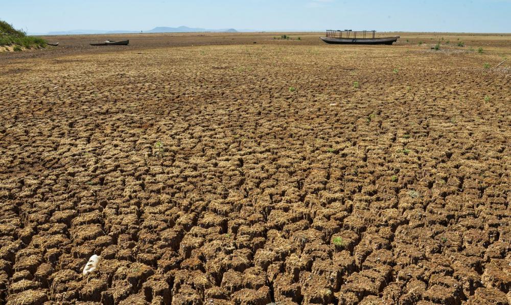 Fenômeno El Niño está de volta, informa agência; entenda os efeitos para o Brasil