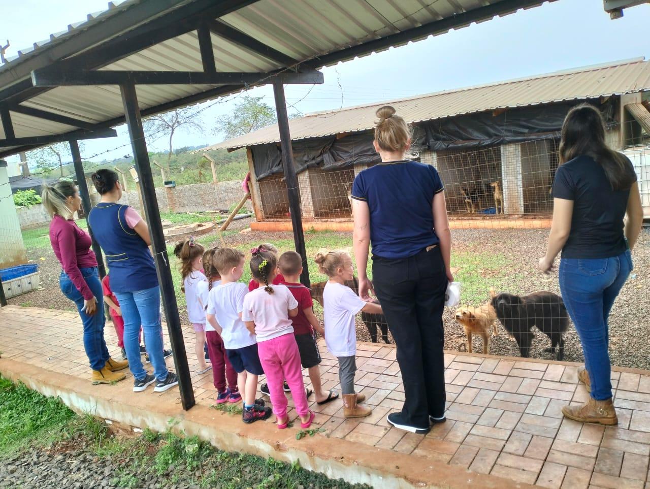 CMEI do distrito de Sub-Sede desenvolve projeto sobre valorização e cuidado com os animais domésticos