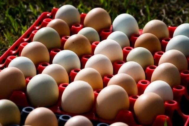 Ovos: com ajuste de estoques, cotações se estabilizam