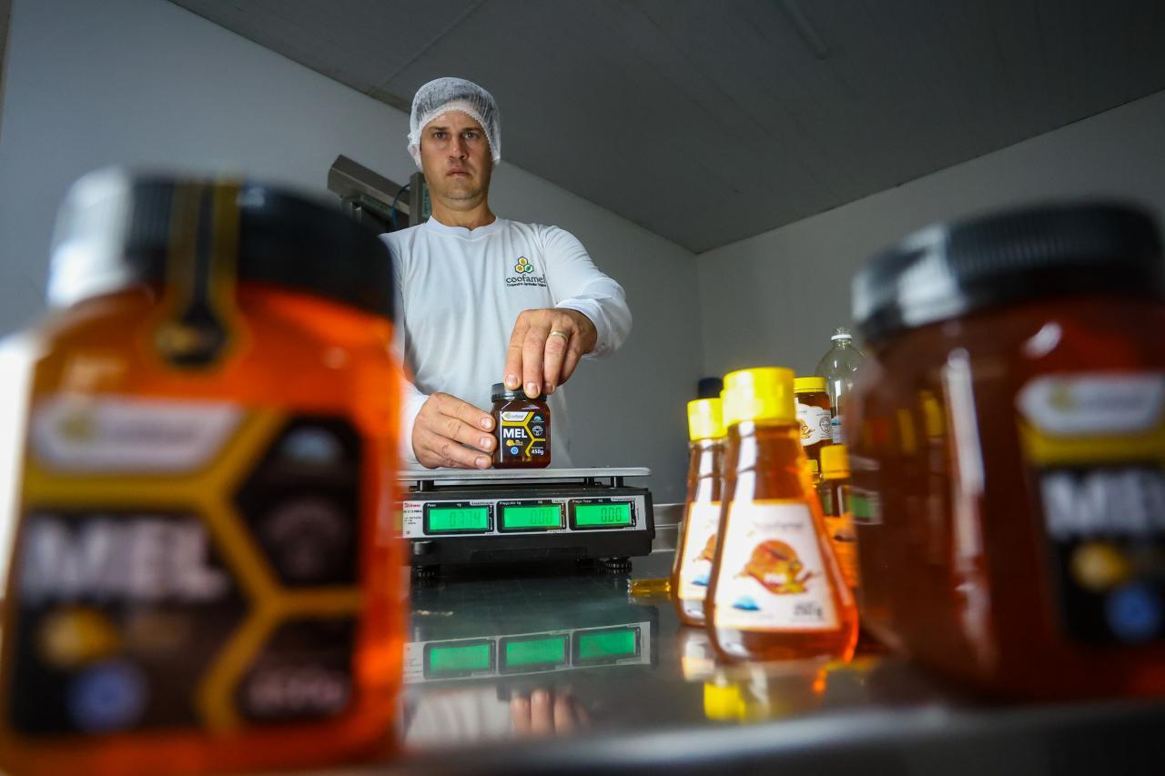 Mel produzido em Santa Helena e região ganha destaque nacional