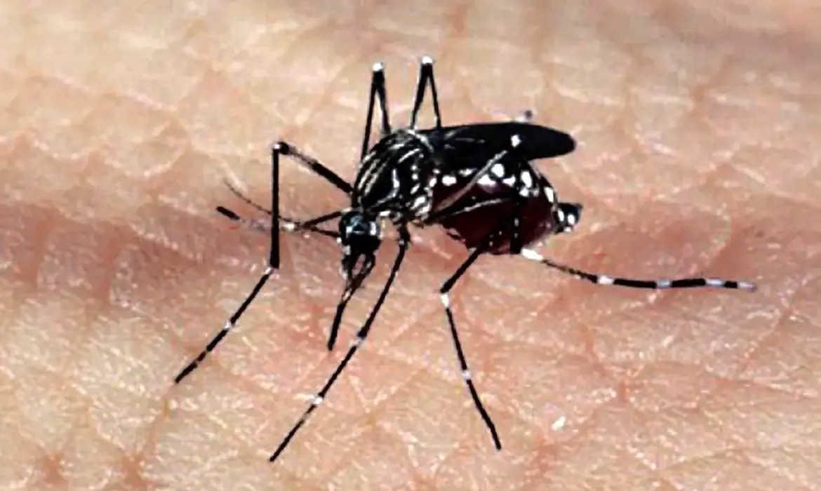 Decretada Situação de Emergência por causa da dengue em Santa Helena