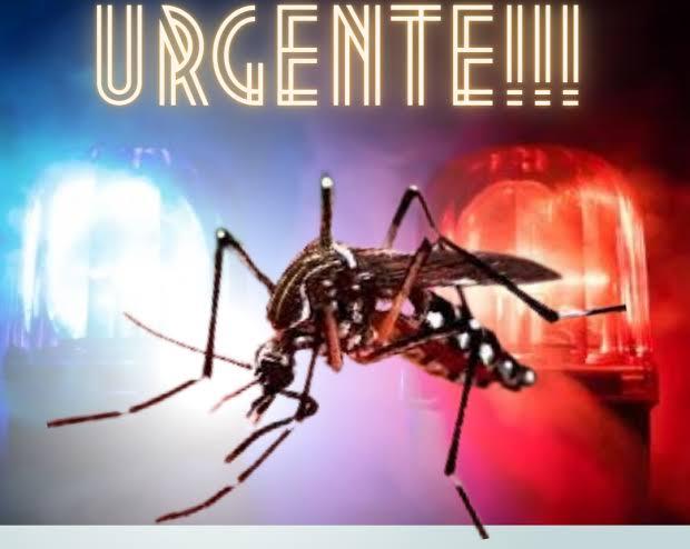 Novo boletim mostra que dengue não recua em Santa Helena e casos se multiplicam a cada semana