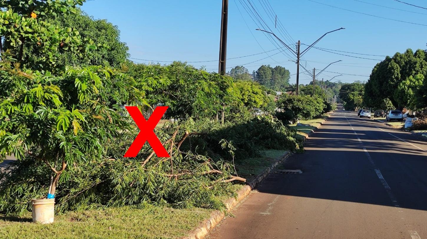 Recolha de galhos! Nesta segunda começa roteiro da Avenida Brasil sentido Ângelo Cattani