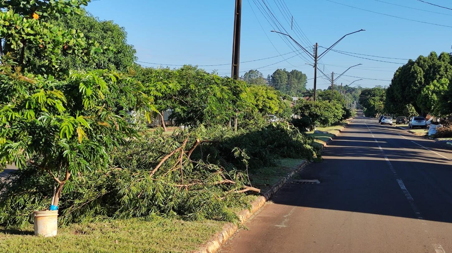 Recolha de galhos! Nesta segunda começa roteiro da Avenida Brasil sentido Ângelo Cattani