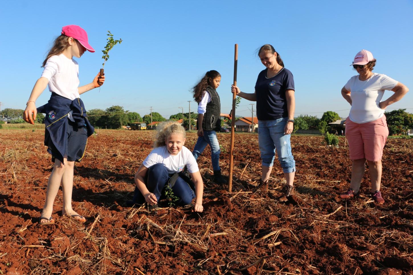 SH + Verde: Professor relata importância educativa do plantio de árvores